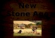 New Stone Age