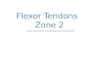 Flexor tendon rehabilitation zone II