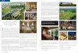 Castlemartyr resort jet set affluent magazine