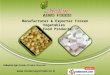 Modern Agro Foods Maharashtra India