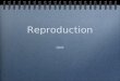 Reproduction unit