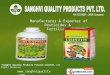 Sanghvi Quality Products Private Limited Maharashtra India