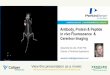 Fluorescence Antibody And Protein Imaging Movie