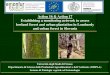 Ragazzi disease management_in_urban_forests_it