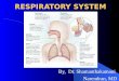 06 Respiratory System.ppt