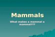 Instruction - Mammals