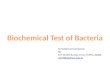 Biochemical test of bacteria