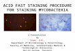 Acid fast staining procedure for staining mycobacteria