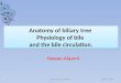 Anatomy and physiology of biliary tree