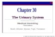 mcgraw hill Chapter 30 the_urinary_system