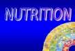 07 Nutrition.ppt