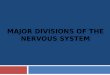 CNS (Central Nervous System)