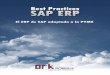 Sap erp-best-practices-para-pymes