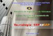 Tecnologia ERP-SAP