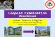 Leopold Examination