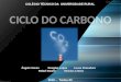 Ciclo Do Carbono ( Quimica ) 2