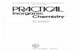7362600 Spitsyn Practical Inorganic Chemistry