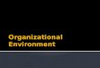 Organisation System In Global Environment