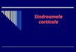 Sindroame corticale