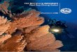 Red Sea Diving Safari Portfolio 2011
