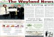 The Wayland News June 2011