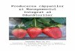 Manual Strawberry Production and IPM for Moldova Romanian 26MAY11