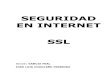 Seguridad Ssl. en Internet
