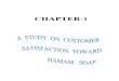 64138427 Project on Hamam Soap