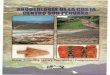 Al Sur de Pachacamac. Introduccion a Arqueologia de la Costa Centro Sur Peru