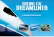 Boeing 787 Dream Liner - (Mark Wagner)