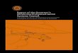 Oklahoma Unmanned Aerial Systems Council Report 2012