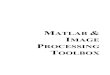 Matlab & Image Processing Toolbox