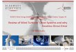 [Presentation] Shankir - Review of Wind Turbines’ Drive Systems and why Gearless Direct Drive