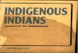 Indigenous Indians Agastya to Ambedkar - Koenraad Elst