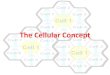 Cellular Concept-Lec IV