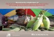 Meeting the challenges of global climate change and food security through innovative maize research. Proceedings of the National Maize Workshop of Ethiopia, 3; Addis Ababa, Ethiopia;