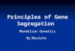 Principles of Gene Segregation