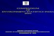 Environment Statistics 2010 Final