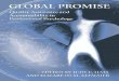[Judy E. Hall, Elizabeth Altmaier] Global Promise and Accountability in Professional Psychology