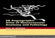 0521856841 - Neil M. Borden - 3D Angiographic Atlas of Neurovascular Anatomy and Pathology [2006]