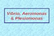 Vibrio & Aeromonas & Plesiomonas