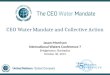 CEO Water Mandate and Collective Action