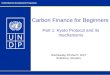 Carbon finance for beginners (Kyoto Protocol and its mechanisms; Current state of carbon market), UNDP