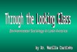Through the Looking Glass: Environmental Sociology in Latin America