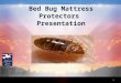 Bed Bug Protectors