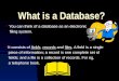 G6-TB Database.ppt