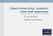 Cyber(in)security: systemic risks and responses