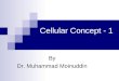 Lec 3 and 4 cellular concept 1