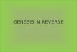2 genesis in reverse