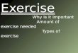Exercise wp2